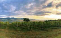 Bildet er lagt til av tidligere gjest på San Carlo