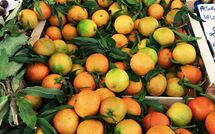 Bildet er lagt til av tidligere gjest på San Carlo