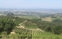 Bildet er lagt til av tidligere gjest på Villa Il Caggio