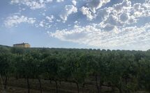 Bildet er lagt til av tidligere gjest på Villa Il Caggio