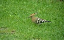 Bildet er lagt til av tidligere gjest på Casa Lucia