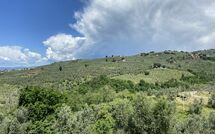 Bildet er lagt til av tidligere gjest på Villa Nora