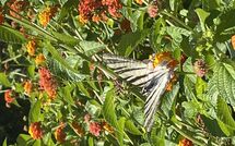 Bildet er lagt til av tidligere gjest på Beach Villa Blue