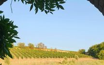 Bildet er lagt til av tidligere gjest på Casa Maria Luisa