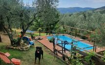 Bildet er lagt til av tidligere gjest på La Ruota