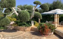 Bildet er lagt til av tidligere gjest på Lamia Santo Arcangelo