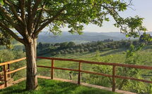 Bildet er lagt til av tidligere gjest på San Guido