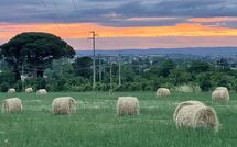 Bildet er lagt til av tidligere gjest på Casale San Martino