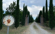 Bildet er lagt til av tidligere gjest på Villa Giare