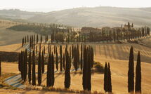 Bildet er lagt til av tidligere gjest på Villa Lauretana