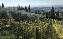 Bildet er lagt til av tidligere gjest på Casa Lucia