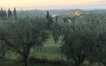 Bildet er lagt til av tidligere gjest på Casa Lucia