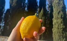 Bildet er lagt til av tidligere gjest på Montegufoni