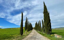 Bildet er lagt til av tidligere gjest på Villa Cassia