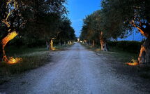 Bildet er lagt til av tidligere gjest på Tenuta Olearum