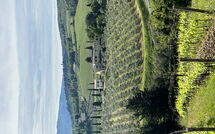 Bildet er lagt til av tidligere gjest på Tenuta - Tenuta 4