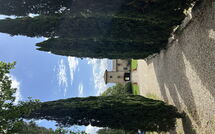 Bildet er lagt til av tidligere gjest på Tenuta - Tenuta 4