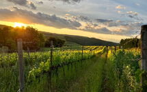 Bildet er lagt til av tidligere gjest på Villa Il Caggio