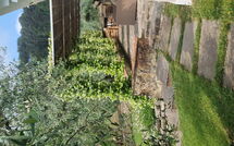 Bildet er lagt til av tidligere gjest på Villa Bellostare