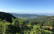 Bildet er lagt til av tidligere gjest på Villa Portole Due