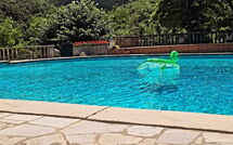 Bildet er lagt til av tidligere gjest på Villa Contessa