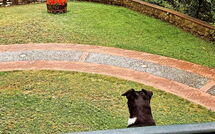 Bildet er lagt til av tidligere gjest på Villa Contessa