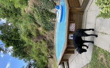 Bildet er lagt til av tidligere gjest på Casale di Cozzile