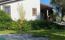 Bildet er lagt til av tidligere gjest på Villa Oliveta