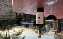 Bildet er lagt til av tidligere gjest på Panzalla - Rondini