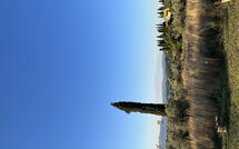 Bildet er lagt til av tidligere gjest på Pozzo dei Desideri - Pozzo dei Desideri 2