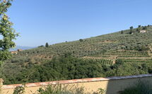 Bildet er lagt til av tidligere gjest på Casa Lionardo