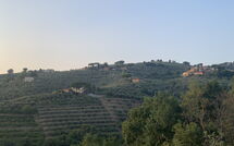 Bildet er lagt til av tidligere gjest på Casa Lionardo