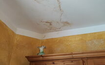 Bildet er lagt til av tidligere gjest på Il Gualdo