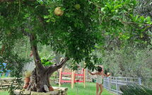 Bildet er lagt til av tidligere gjest på Villa Eftychia