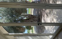 Bildet er lagt til av tidligere gjest på Tenuta Olearum