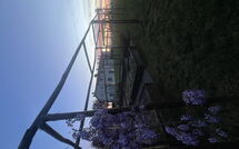 Bildet er lagt til av tidligere gjest på Il Sole di Vino - Sole di Vino - 1