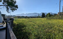 Bildet er lagt til av tidligere gjest på Beach Villa Christina