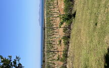 Bildet er lagt til av tidligere gjest på Villa Casale