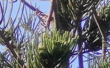 Bildet er lagt til av tidligere gjest på Votana House