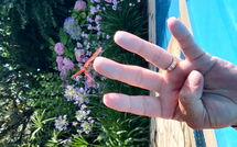 Bildet er lagt til av tidligere gjest på Votana House