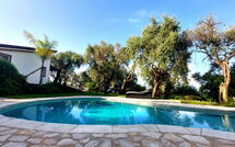 Bildet er lagt til av tidligere gjest på Villa Oliveta