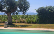 Bildet er lagt til av tidligere gjest på Villa Casale