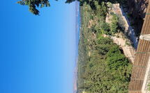 Bildet er lagt til av tidligere gjest på Villa Giorgos