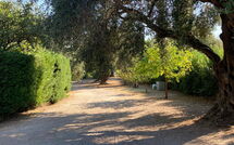 Bildet er lagt til av tidligere gjest på Villa Armonia