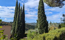 Bildet er lagt til av tidligere gjest på Bigiolo a Melazzano