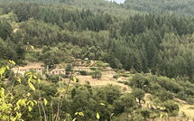 Bildet er lagt til av tidligere gjest på Villa Portole Due