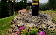 Bildet er lagt til av tidligere gjest på Villa le Buche