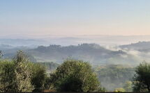 Bildet er lagt til av tidligere gjest på Casa Andrea