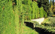 Bildet er lagt til av tidligere gjest på Montegufoni