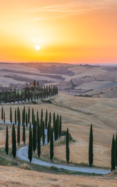 Villaer på landet - Lev tilbaketrukkent omgitt av natur